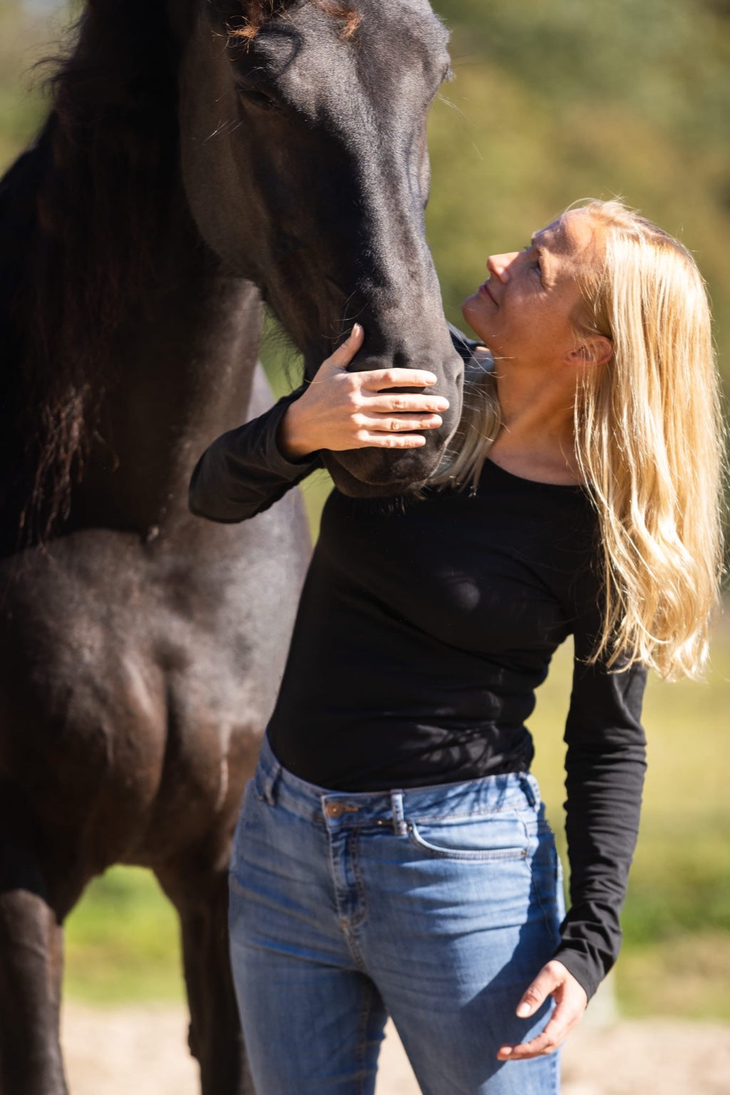 Paardencoaching bij De Weerdhoeve
