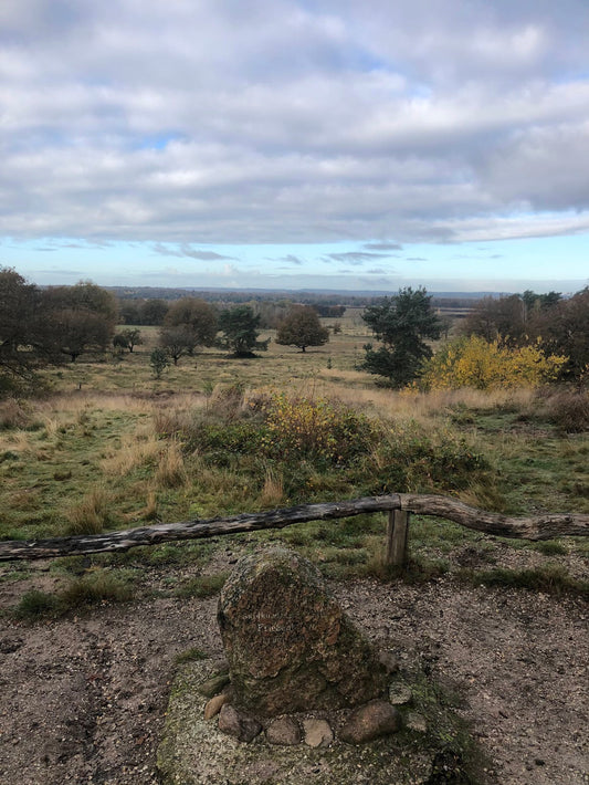Wandelen rondom De Weerdhoeve